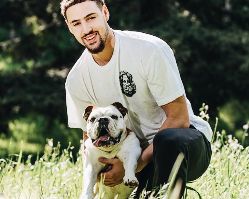 熊猫杯正式开票：晚场票价78元起，最高118元（熊猫杯门票开售：晚场最低78元，最高118元）